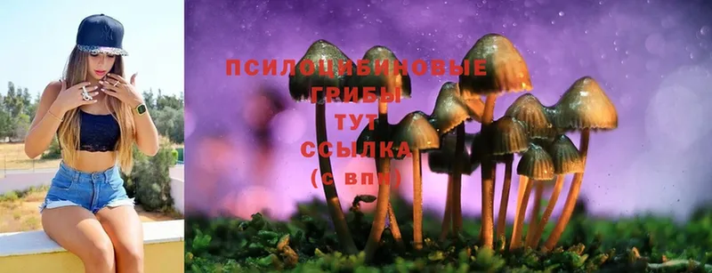 Псилоцибиновые грибы MAGIC MUSHROOMS  Ногинск 